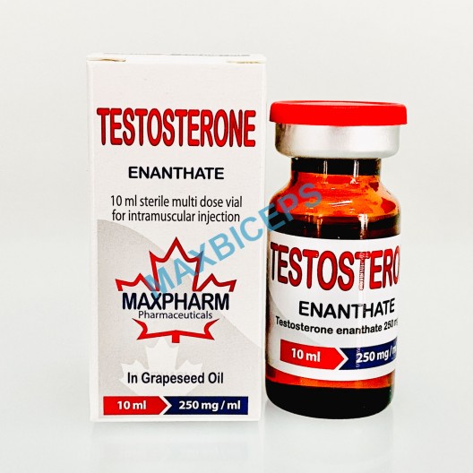 Testosterone Enanthate-10ml x 250mg/ml