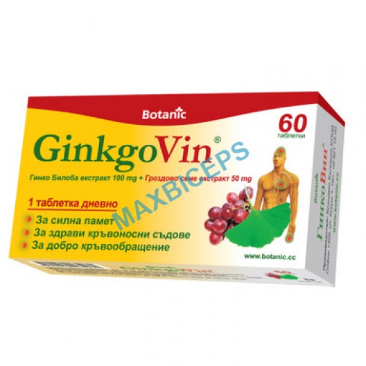 GinkgoVin: Boost Brain Function and Circulation (60 Tablets)