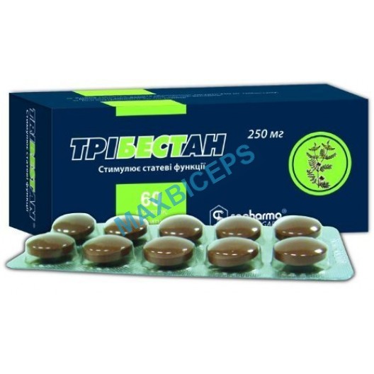 Tribestan - 60 tabs (250mg/tab)