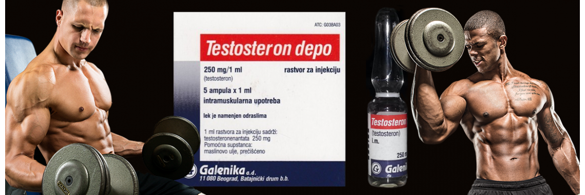 Testosteron Depo Galenika